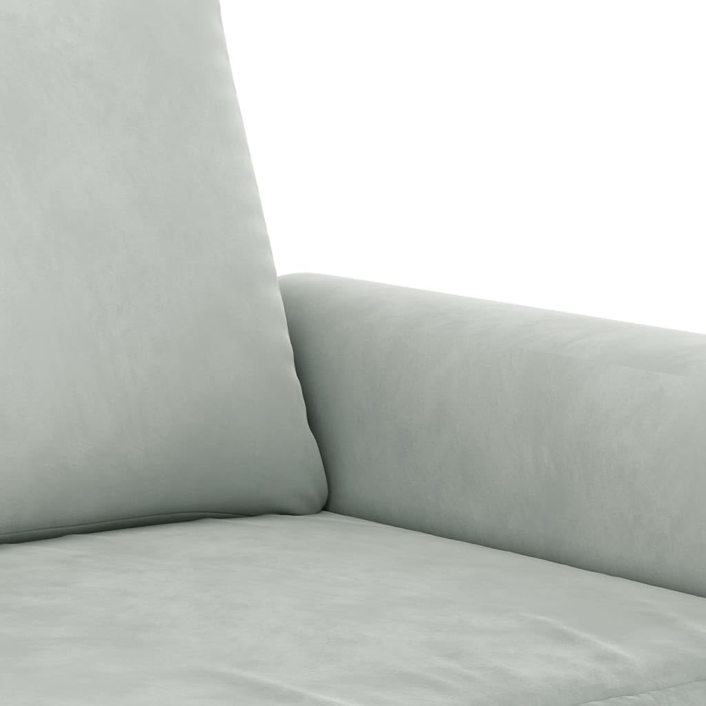 Light Gray Velvet 2 Piece Sofa Set with Pillows B662462