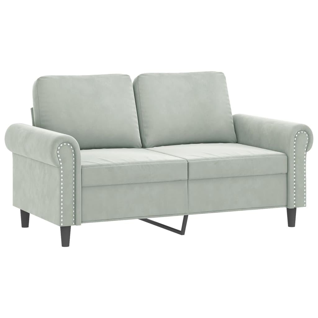 Light Gray Velvet 2 Piece Sofa Set with Pillows B662462