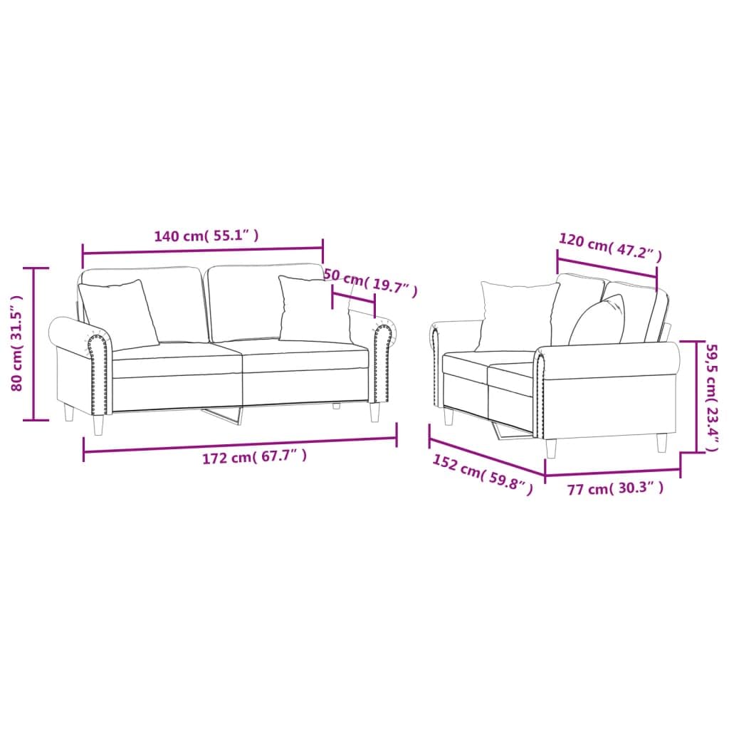 Light Gray Velvet 2 Piece Sofa Set with Pillows B662462