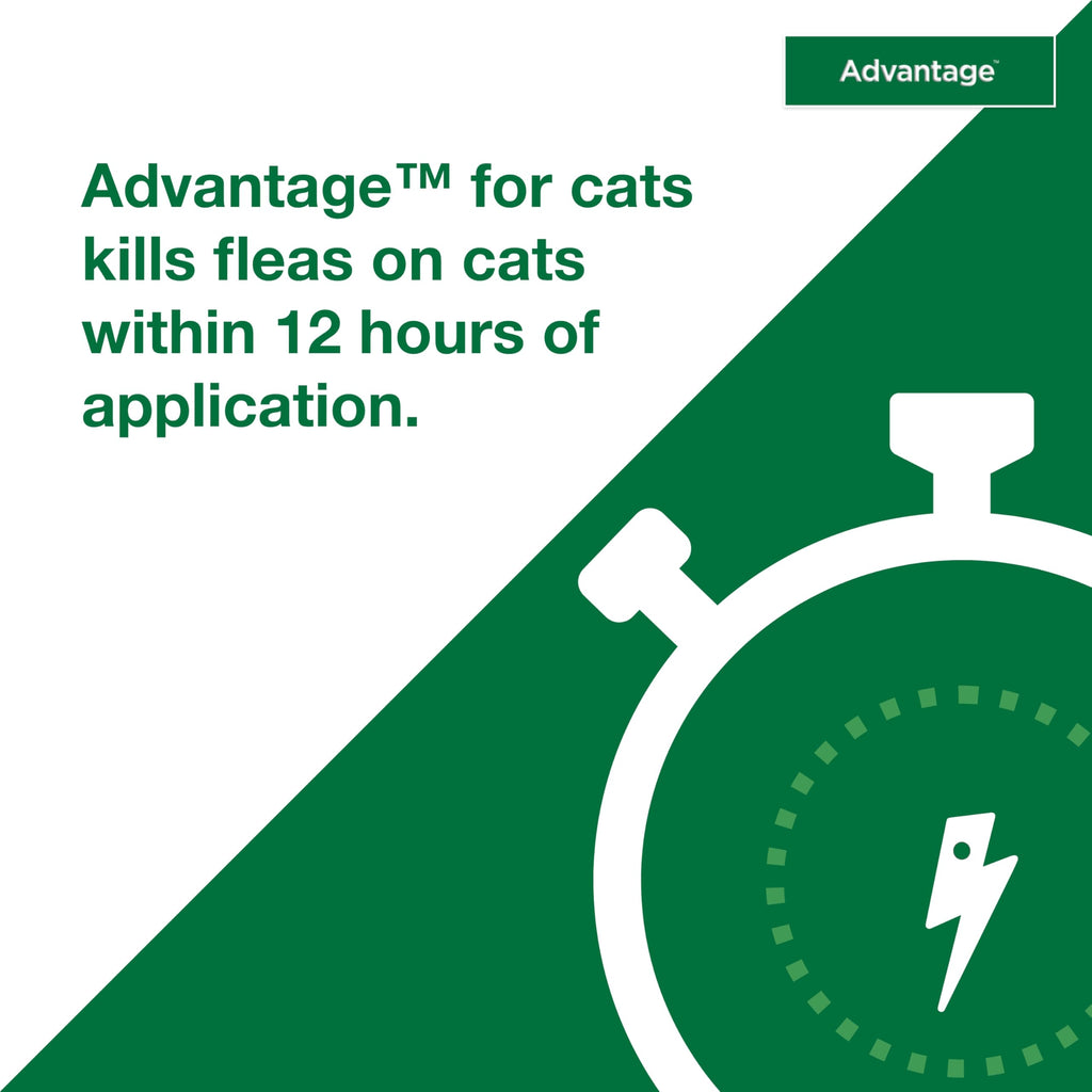 Topical Cat Flea Treatment and Prevention for Large Cats Over 9 lbs S999572