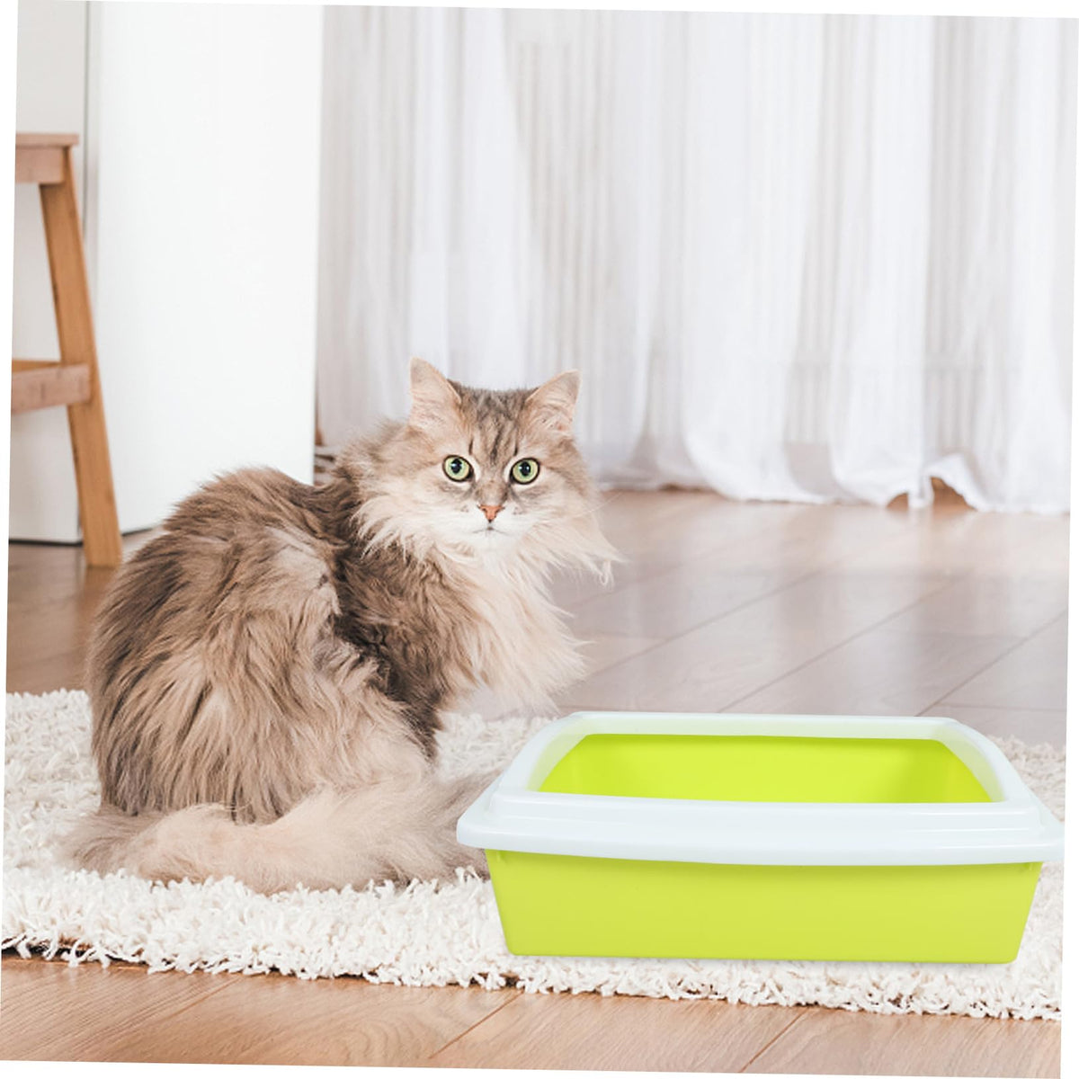 Cat Litter Box B980