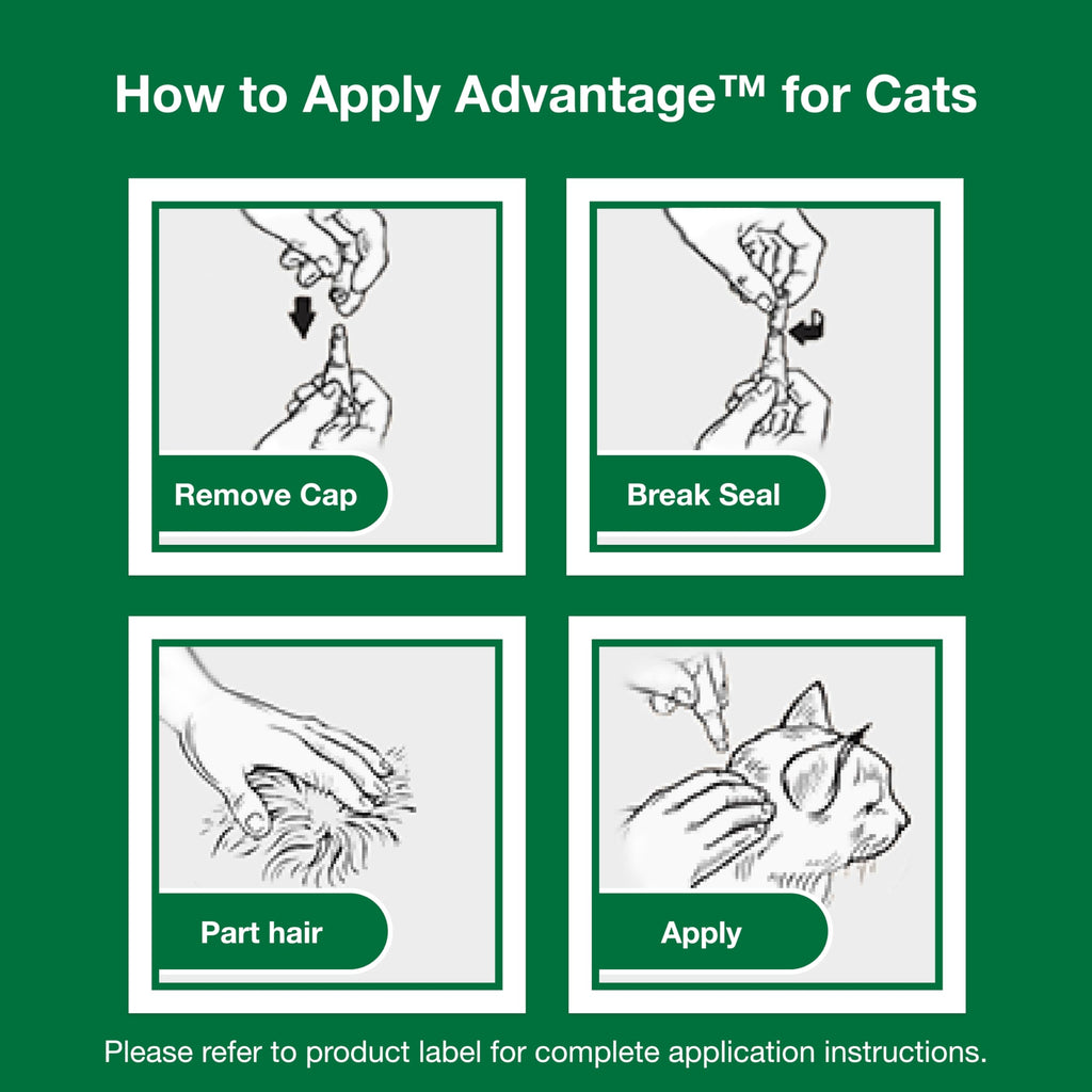 Topical Cat Flea Treatment and Prevention for Large Cats Over 9 lbs S999572