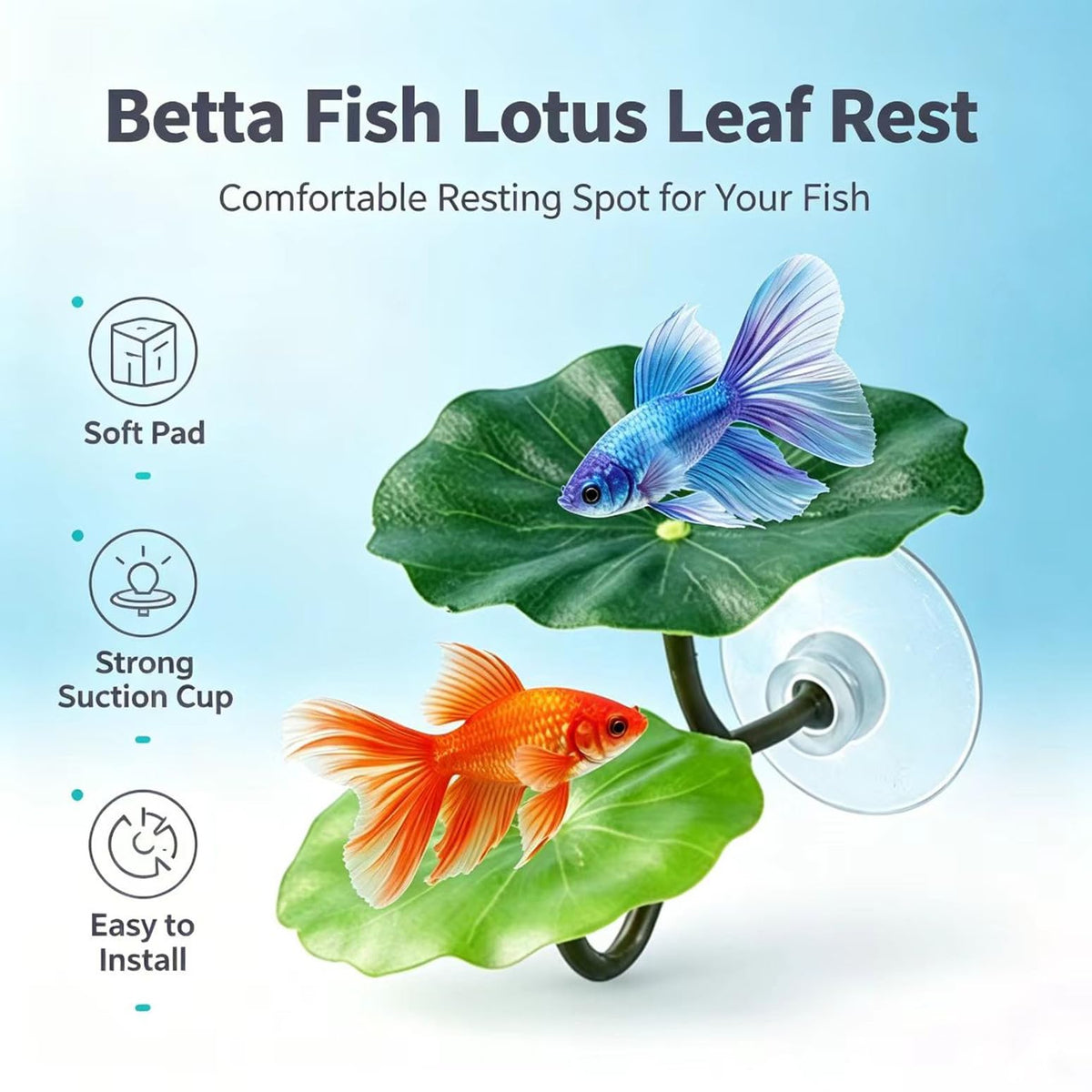 Betta Fish Hammock Tunnel Leaf Pad Resting Bed S702903