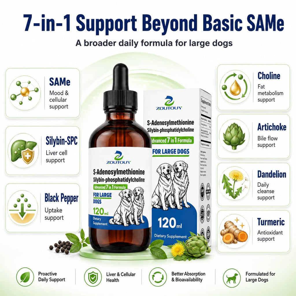 Dog Liver Supplement with Silybin, Milk Thistle, 120ml Q596