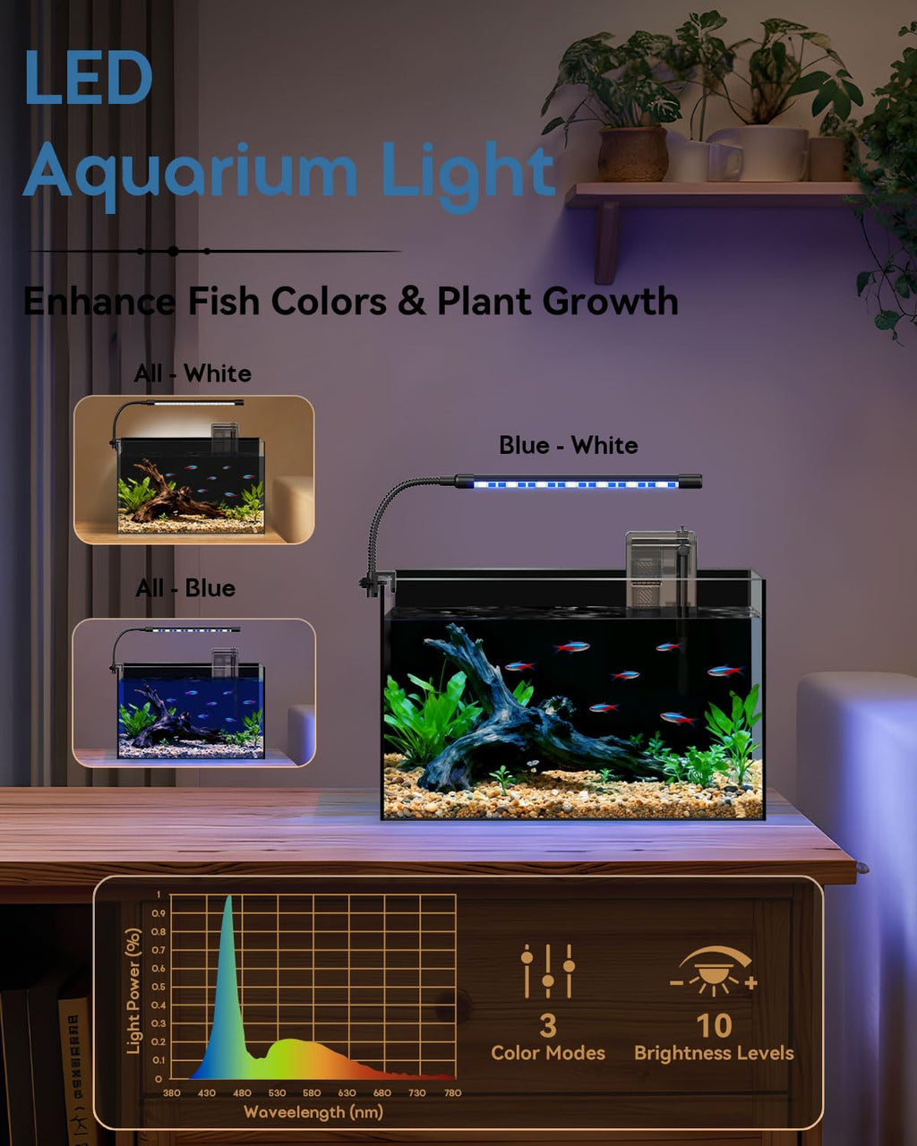 5 Gallon Rimless Glass Aquarium Starter Kit H944