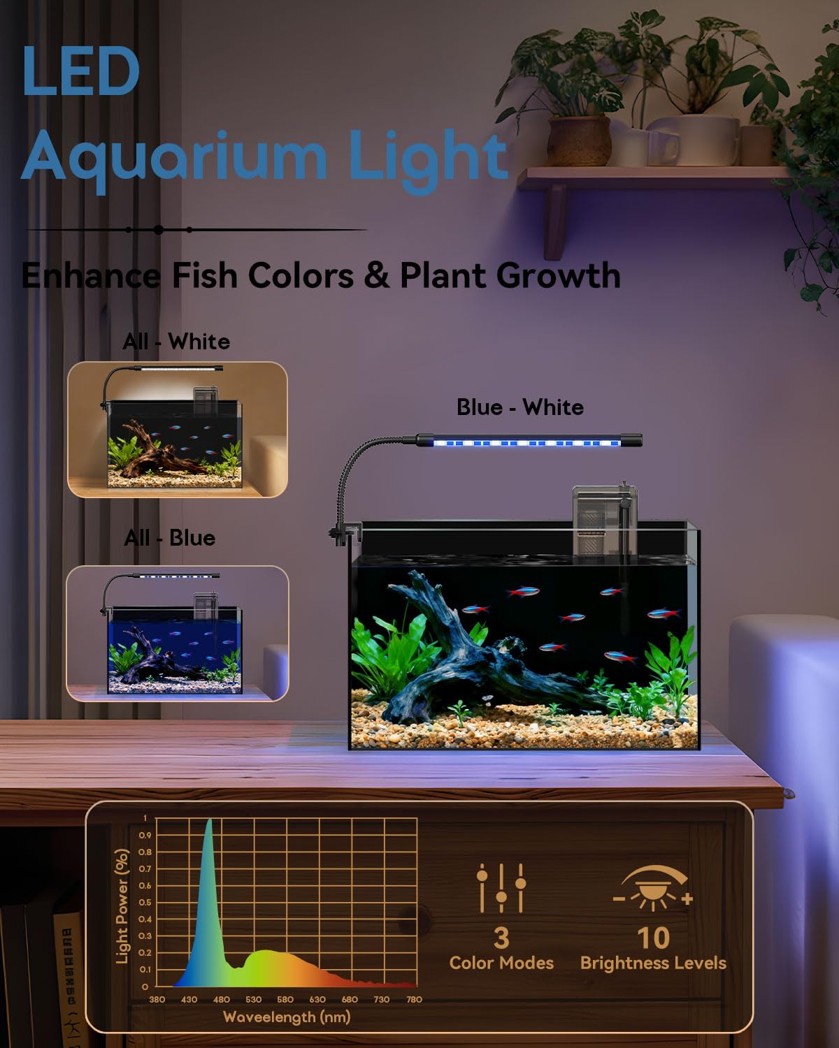5 Gallon Rimless Glass Aquarium Starter Kit H944