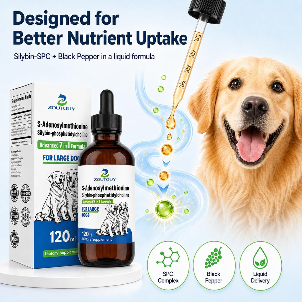 Dog Liver Supplement with Silybin, Milk Thistle, 120ml Q596