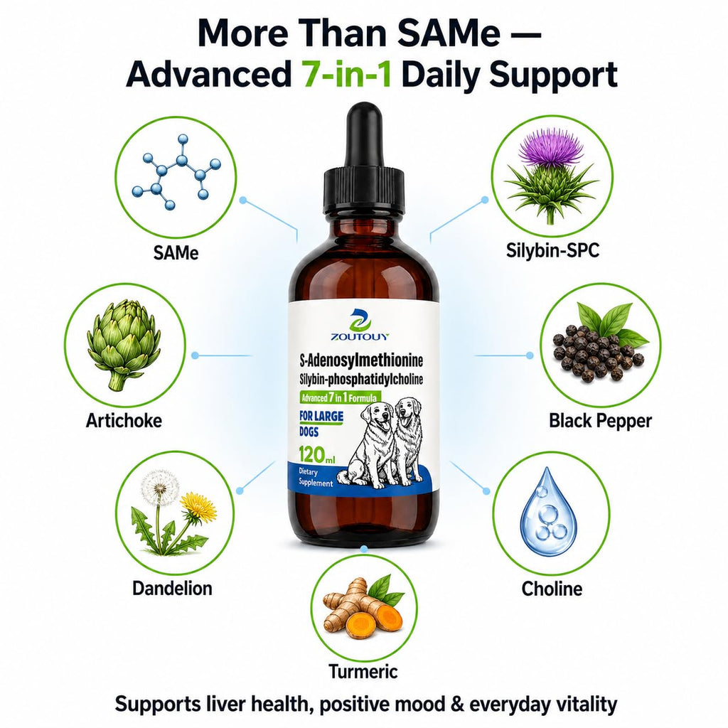 Dog Liver Supplement with Silybin, Milk Thistle, 120ml Q596