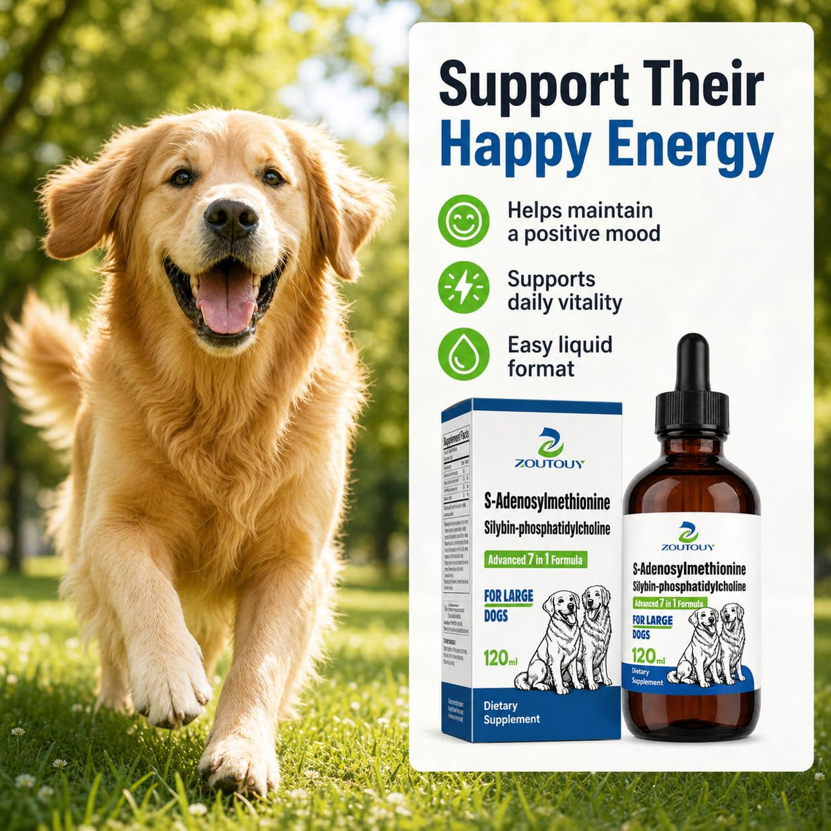 Dog Liver Supplement with Silybin, Milk Thistle, 120ml Q596