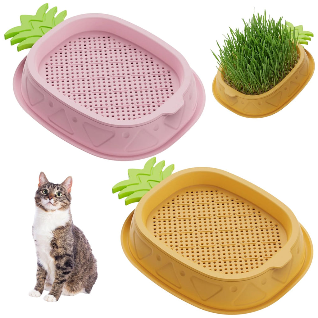 2 Pack Hydroponic Cat Grass Planter K6867