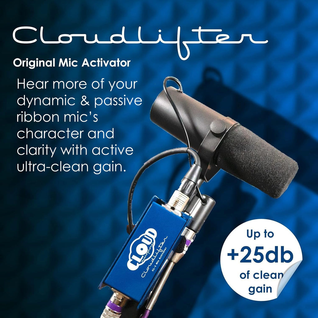 Microphones with XLR Cable R362