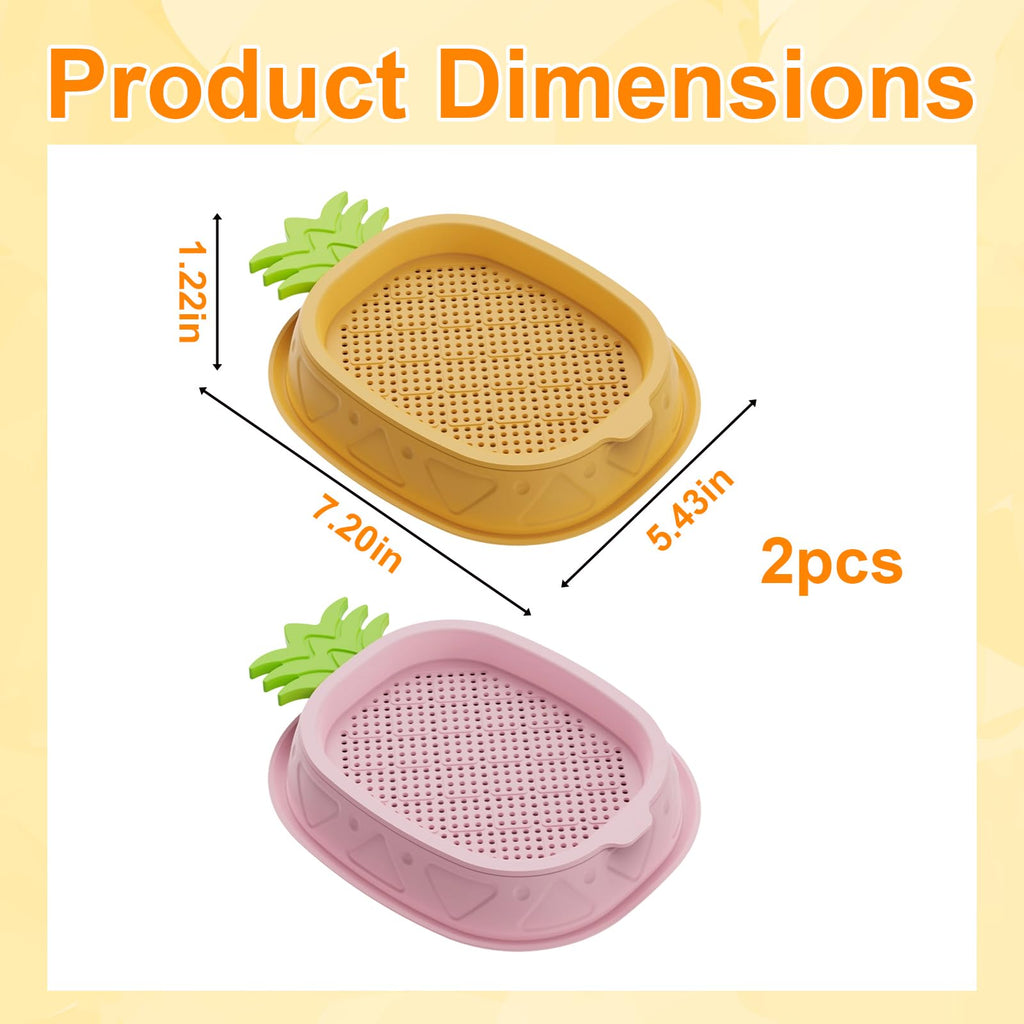2 Pack Hydroponic Cat Grass Planter K6867