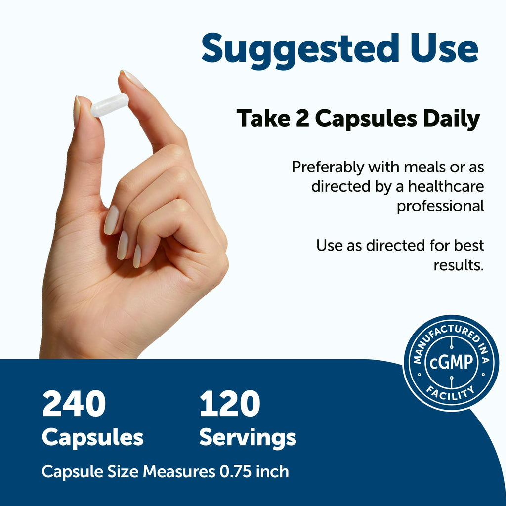 240 Capsules Multivitamin with B Complex & Methylfolate N15614