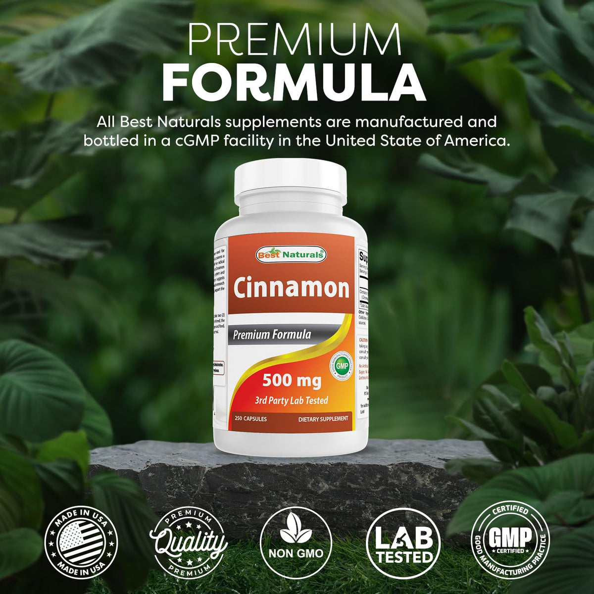 Cinnamon 500 mg 250 Capsules Pack of 2 O229080