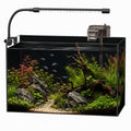 5 Gallon Rimless Glass Aquarium Starter Kit H944