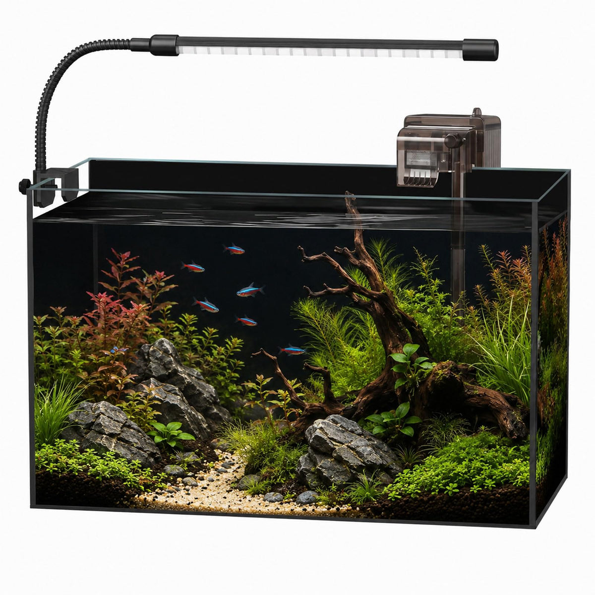 5 Gallon Rimless Glass Aquarium Starter Kit H944