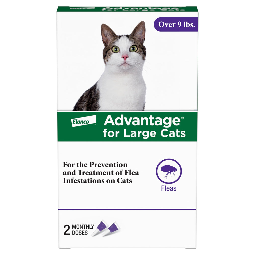 Topical Cat Flea Treatment and Prevention for Large Cats Over 9 lbs S999572