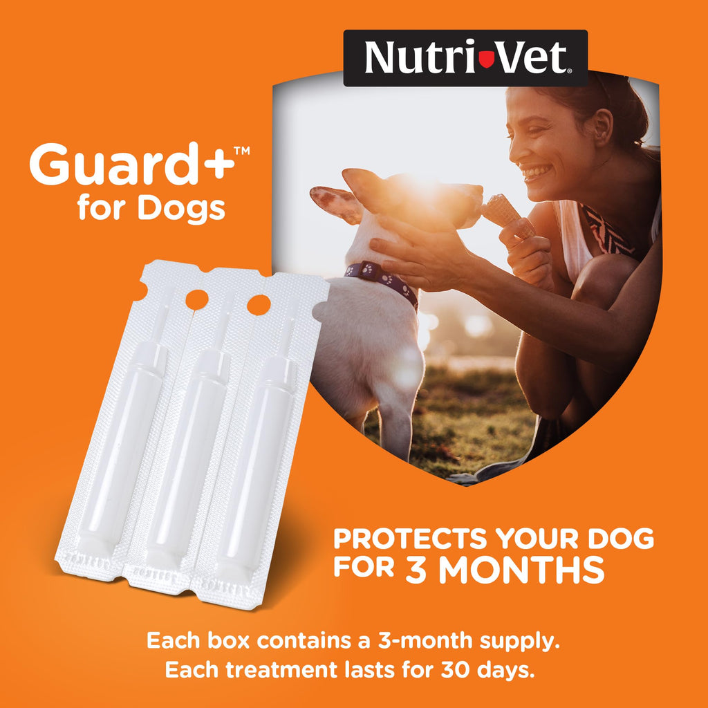 Flea Treatment 3 Doses F850253