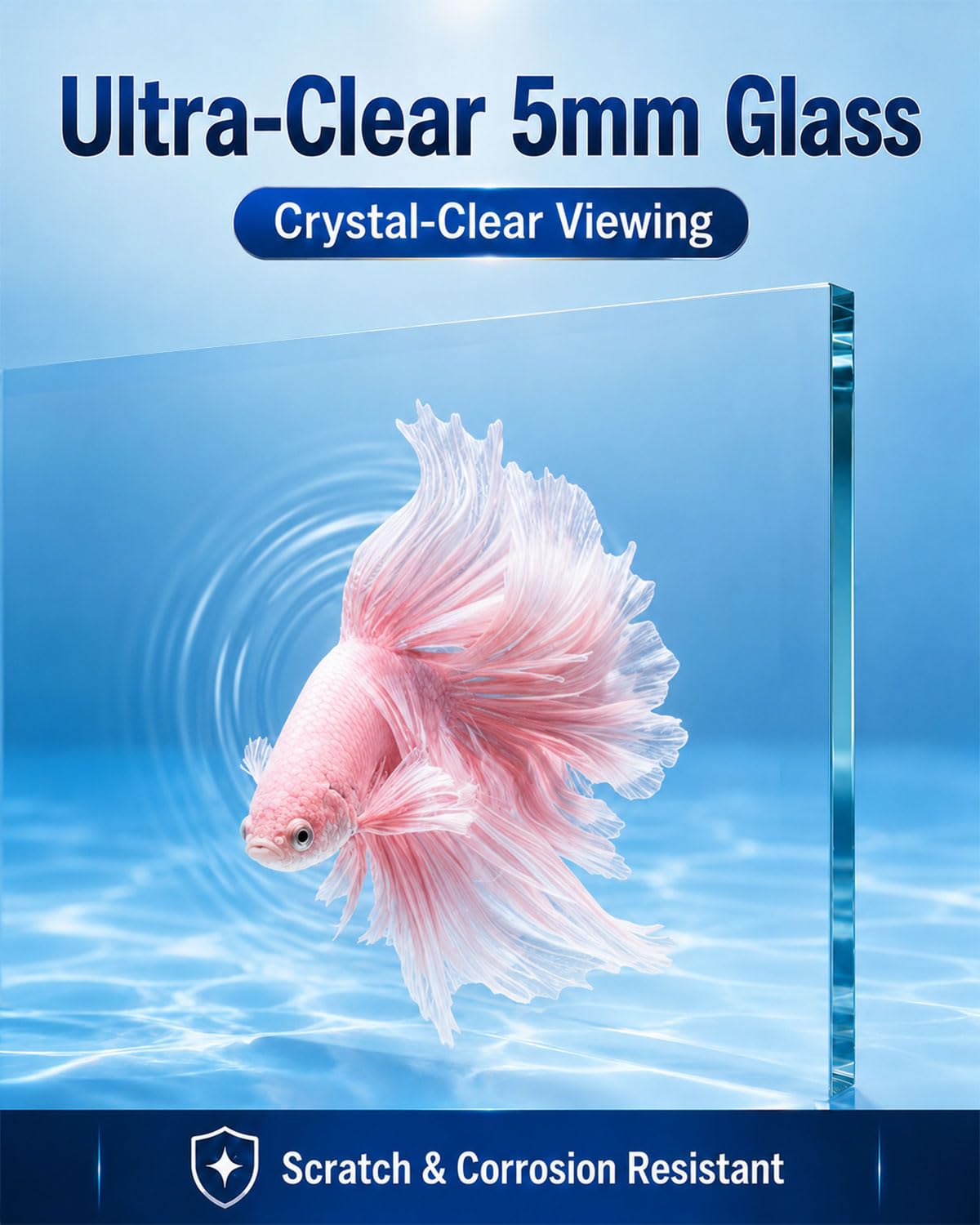 5 Gallon Rimless Glass Aquarium Starter Kit H944