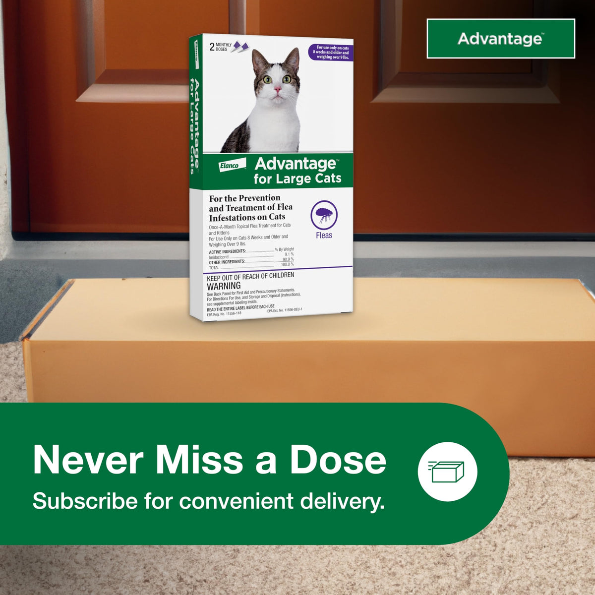 Topical Cat Flea Treatment and Prevention for Large Cats Over 9 lbs S999572