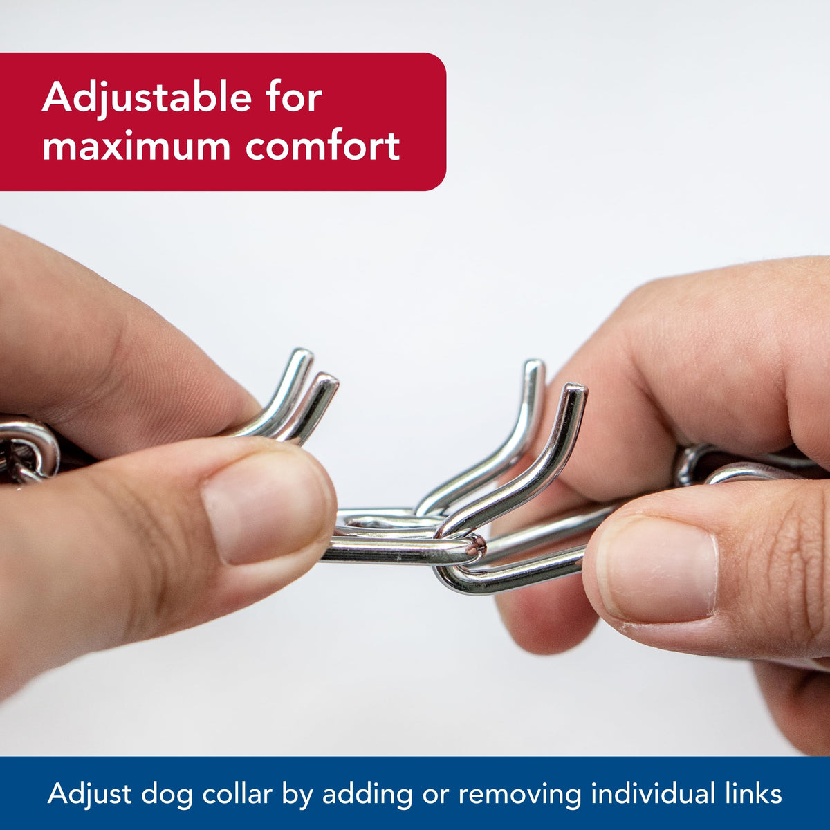 Steel Chrome Plated 3.0 mm Dog Prong Collar E468