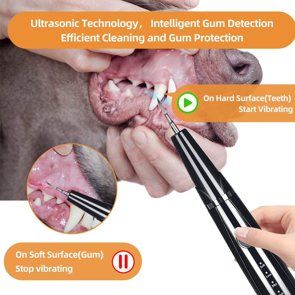 Ultrasonic Pet Tooth Cleaner Kit with LED Light D5972
