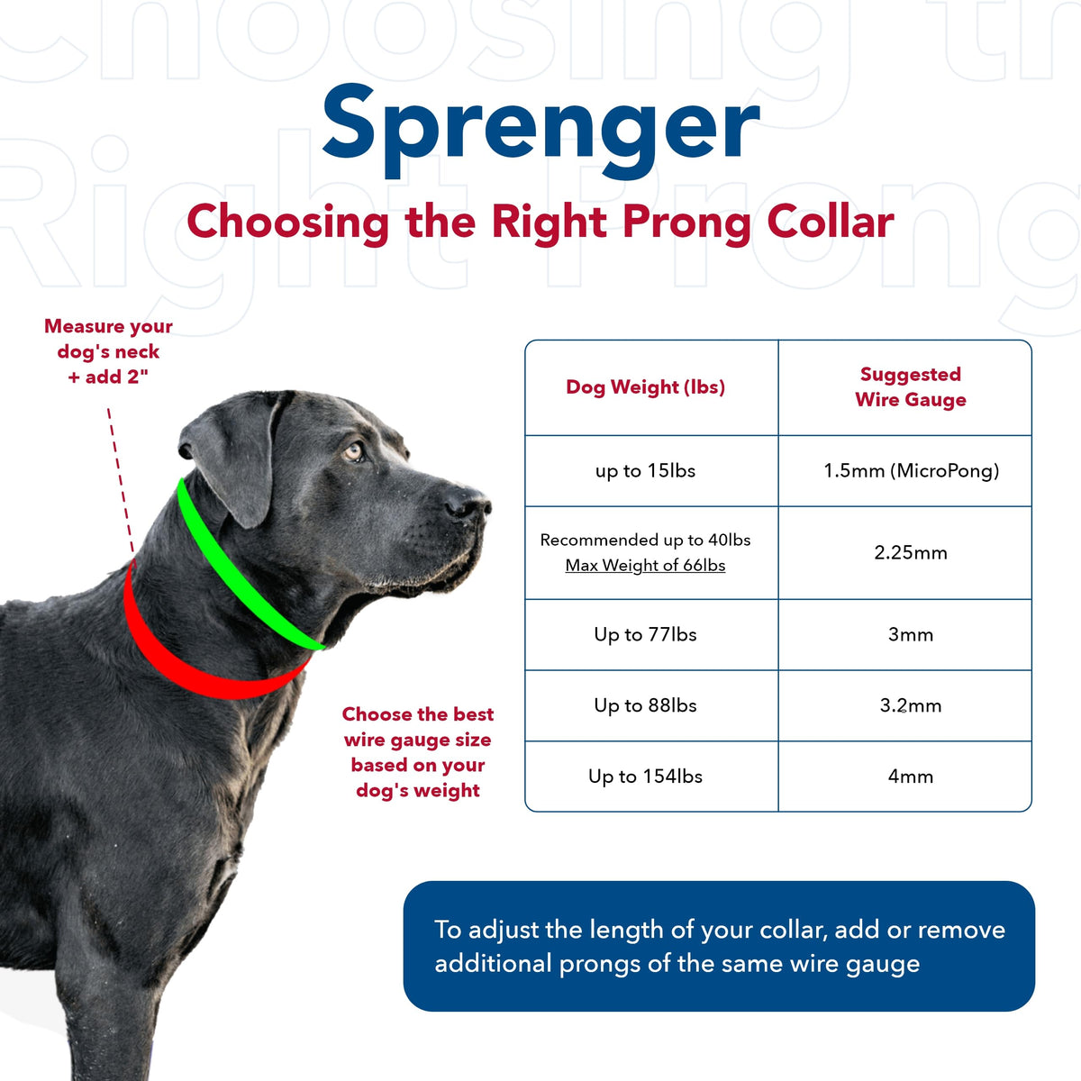 Steel Chrome Plated 3.0 mm Dog Prong Collar E468