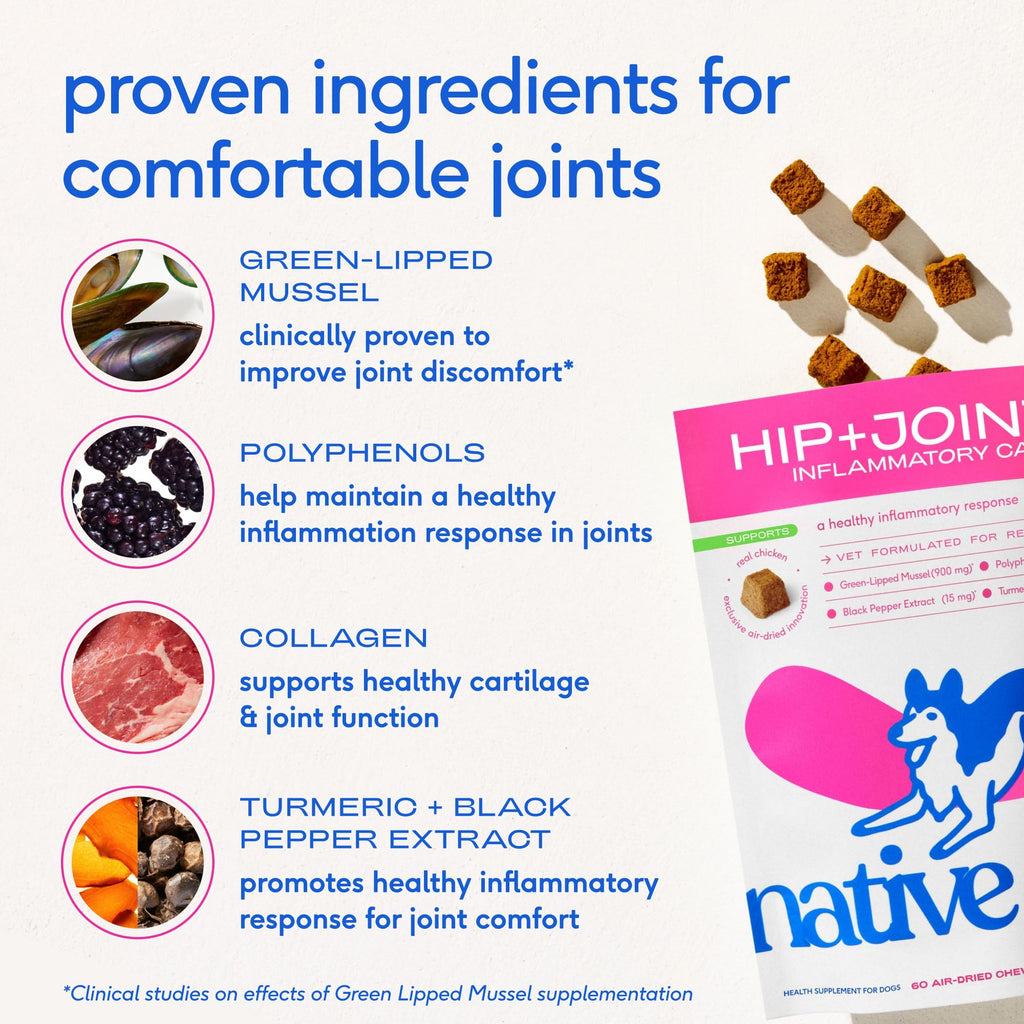 Green-Lipped Mussel Turmeric Collagen Hip and Joint Supplement for Dogs 120 Chews S748