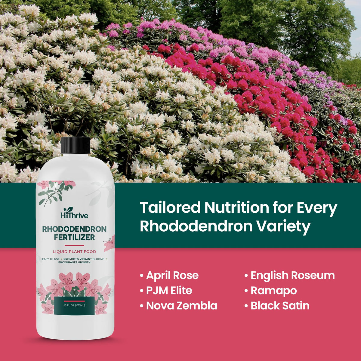 16oz Rhododendron Plant Food I254107