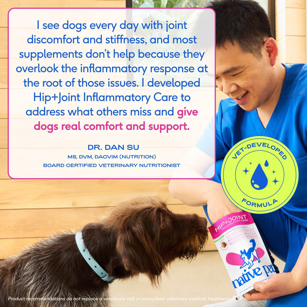Green-Lipped Mussel Turmeric Collagen Hip and Joint Supplement for Dogs 120 Chews S748