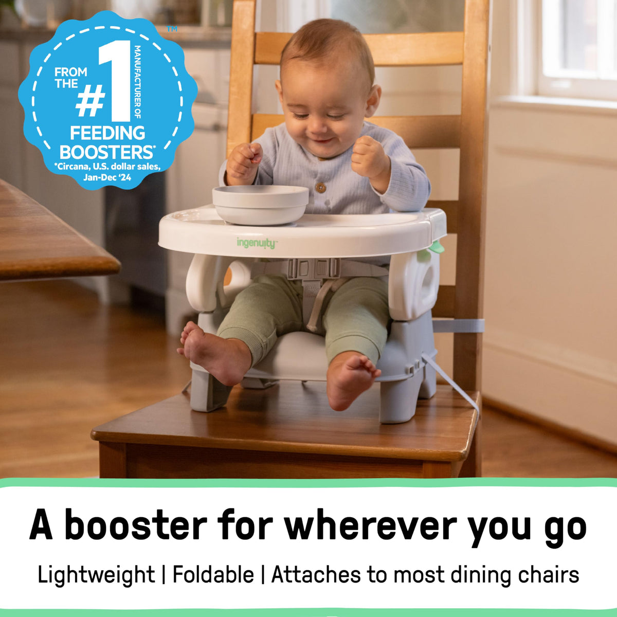 Compact Lightweight Toddler Booster Seat W253659