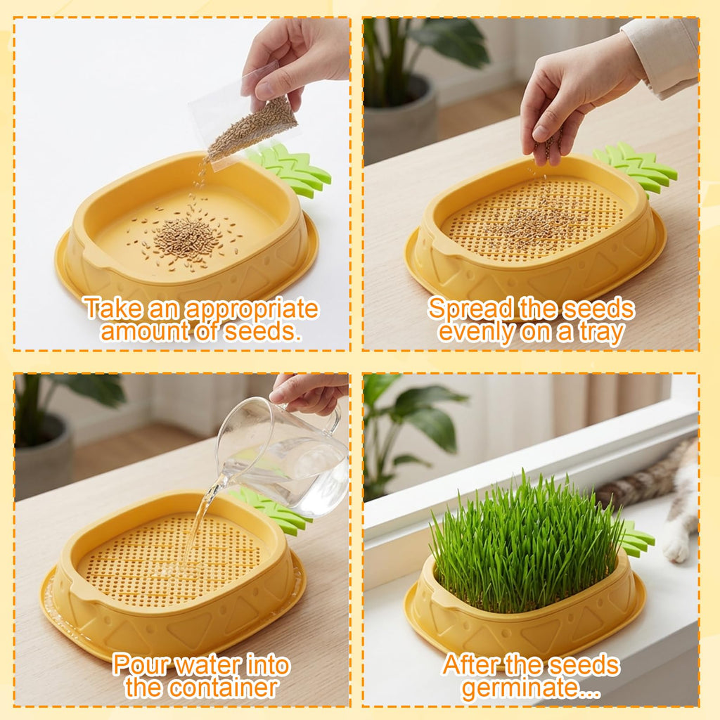 2 Pack Hydroponic Cat Grass Planter K6867