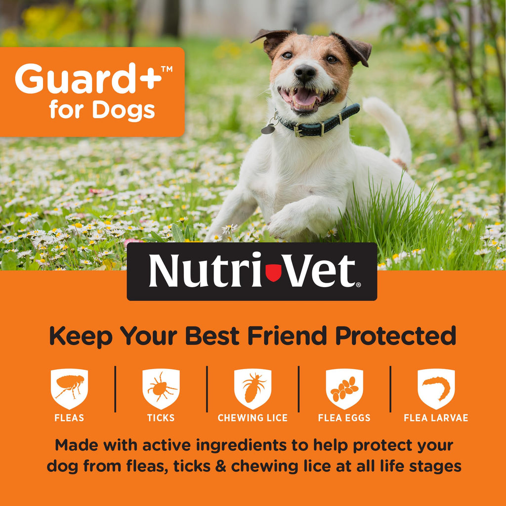 Flea Treatment 3 Doses F850253